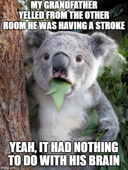 The Stroke | My grandfather yelled from the other room he was having a stroke; Yeah, it had nothing to do with his brain | image tagged in memes,surprised koala | made w/ Imgflip meme maker