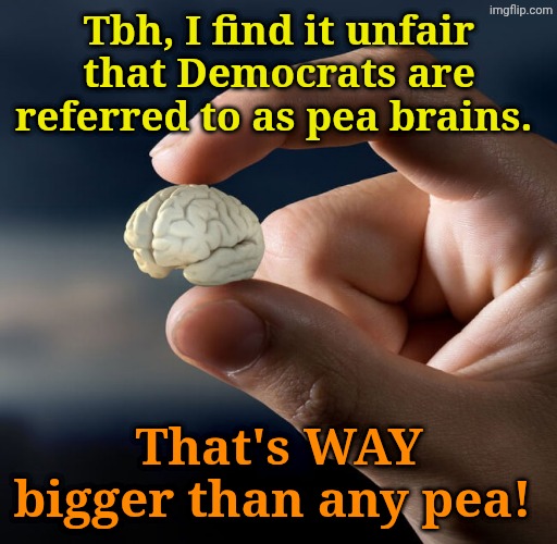 Braaaaaaaains! | Tbh, I find it unfair that Democrats are referred to as pea brains. That's WAY bigger than any pea! | made w/ Imgflip meme maker
