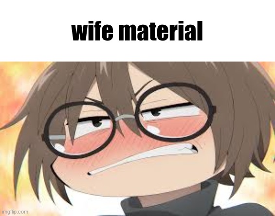 Would crack | wife material | image tagged in how bro looks at me when the funi jpeg | made w/ Imgflip meme maker