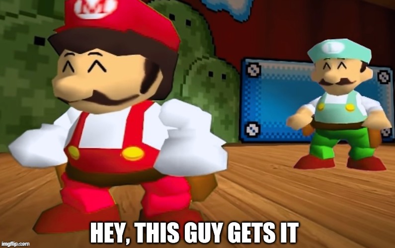 Hey, This Guy Gets It. | image tagged in hey this guy gets it,memes,mario,luigi | made w/ Imgflip meme maker