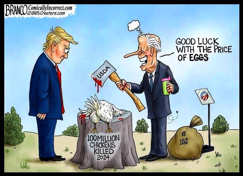Biden egg prices Blank Meme Template