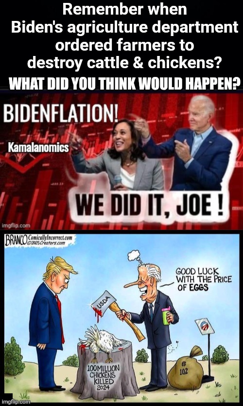 Remember when Biden's agriculture department ordered farmers to destroy cattle & chickens? What did you think would happen? | image tagged in black background,hobama harris and biden bidenomics,biden egg prices | made w/ Imgflip meme maker