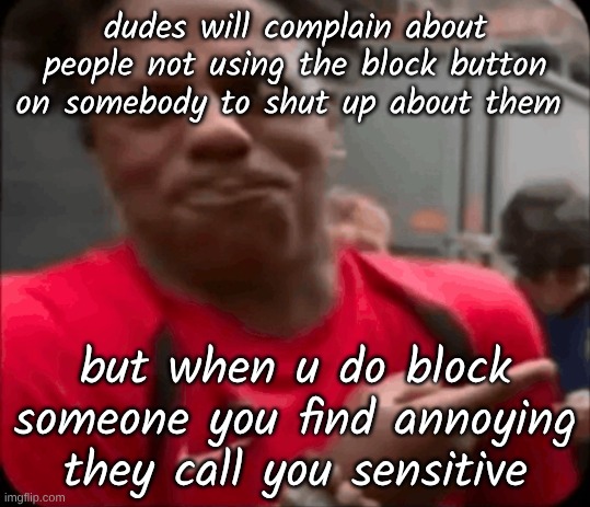 IMG_0949.png | dudes will complain about people not using the block button on somebody to shut up about them; but when u do block someone you find annoying they call you sensitive | image tagged in img_0949 png | made w/ Imgflip meme maker