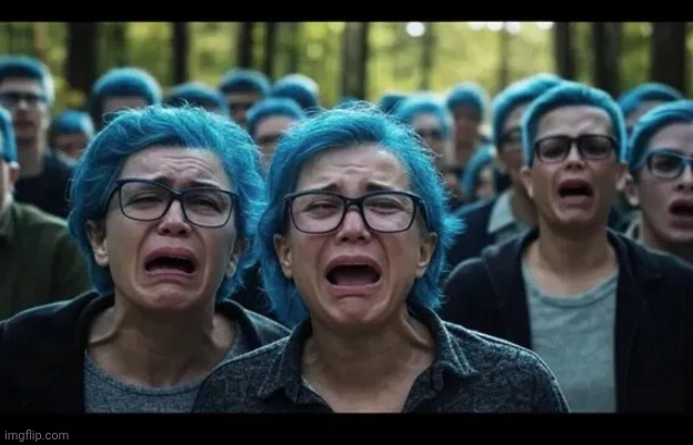 blue haired Wokesters | image tagged in blue haired wokesters | made w/ Imgflip meme maker
