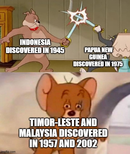 Can Indonesia border that country? | Indonesia discovered in 1945; Papua New Guinea discovered in 1975; Timor-Leste and Malaysia discovered in 1957 and 2002 | image tagged in tom and jerry swordfight,memes,funny | made w/ Imgflip meme maker