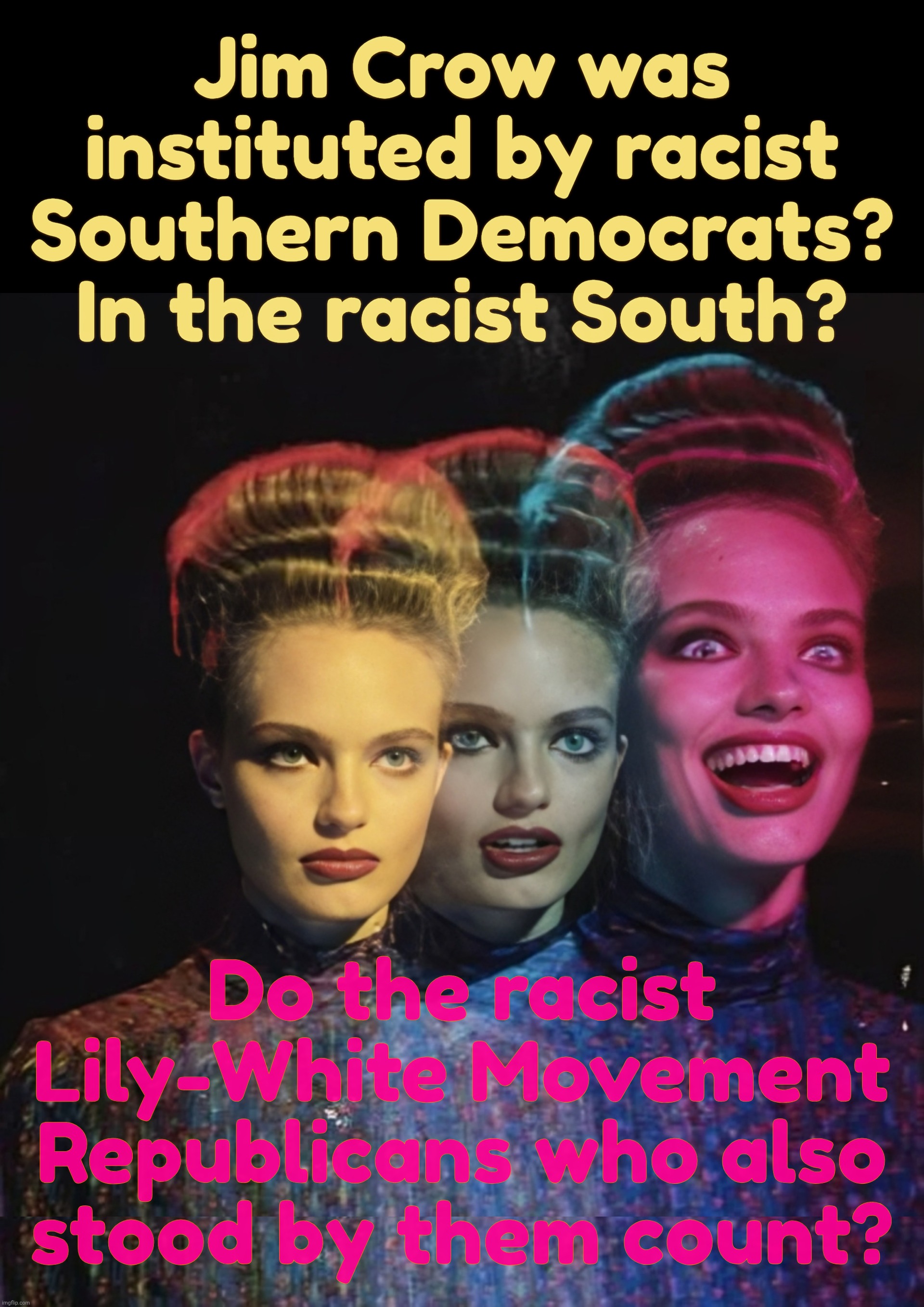 Jim Crow was instituted by racist Southern Democrats? In the racist South? Do the racist Lily-White Movement Republicans who also
stood by them count? | image tagged in hardy har har ii | made w/ Imgflip meme maker