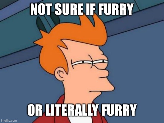 Futurama Fry Meme | Not sure if Furry; or Literally Furry | image tagged in memes,futurama fry,not sure if,furry,literally,furries | made w/ Imgflip meme maker