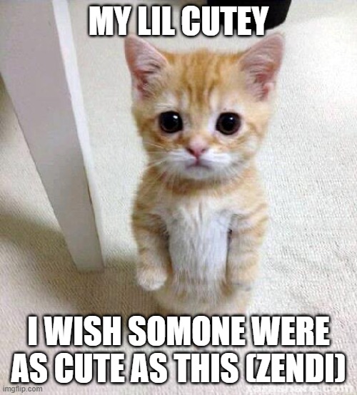 Cute Cat Meme | my lil cutey; i wish somone were as cute as this (zendi) | image tagged in memes,cute cat | made w/ Imgflip meme maker