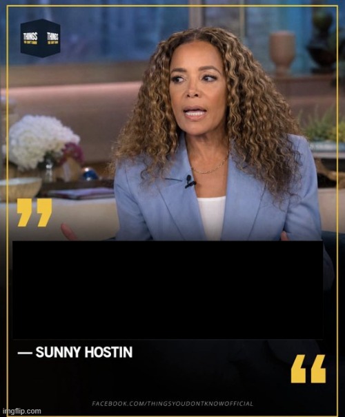 High Quality sunny hostin Blank Meme Template