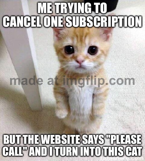 ME TRYING TO CANCEL ONE SUBSCRIPTION | ME TRYING TO CANCEL ONE SUBSCRIPTION; BUT THE WEBSITE SAYS "PLEASE CALL" AND I TURN INTO THIS CAT | image tagged in memes,cute cat,subscribe,unsubscribe,phone call,cat meme | made w/ Imgflip meme maker