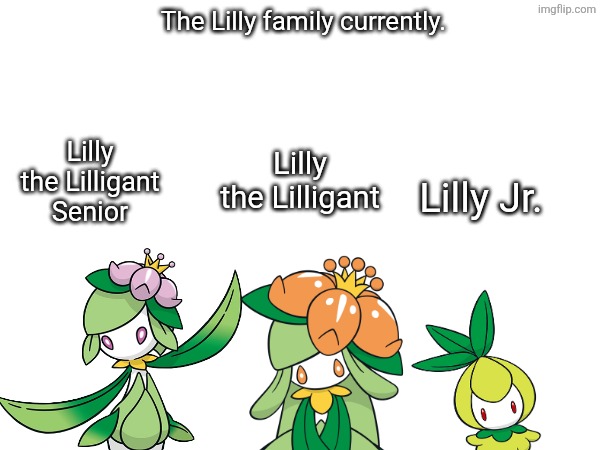 Yes. In case if you were wondering, here is Lilly's grandmother and daughter. | The Lilly family currently. Lilly the Lilligant Senior; Lilly the Lilligant; Lilly Jr. | image tagged in pokemon,lilly,lilly the lilligant senior,lilly jr | made w/ Imgflip meme maker