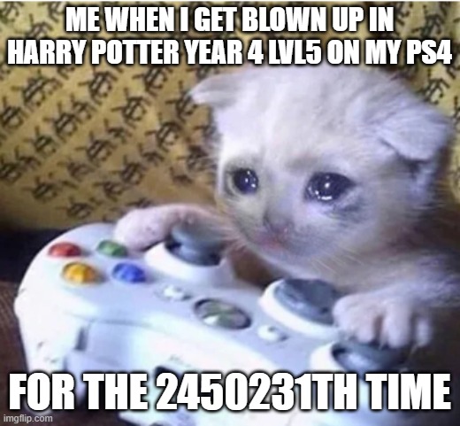 awkwardly speific but ok | me when i get blown up in harry potter year 4 lvl5 on my ps4; for the 2450231th time | image tagged in sad gaming cat,random tag i decided to put | made w/ Imgflip meme maker