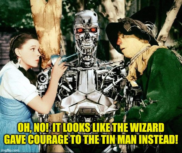 T-800 man | Oh, no!  It looks like the Wizard gave courage to the Tin Man instead! | image tagged in wizard of oz,the terminator,tin man,terminator robot t-800,dorothy,scarecrow | made w/ Imgflip meme maker