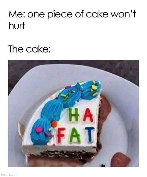 image tagged in stfu,stupid,cake,fat shame,sweets | made w/ Imgflip meme maker