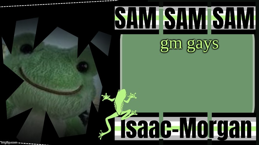sam's fav frog temp | gm gays | image tagged in sam's fav frog temp | made w/ Imgflip meme maker