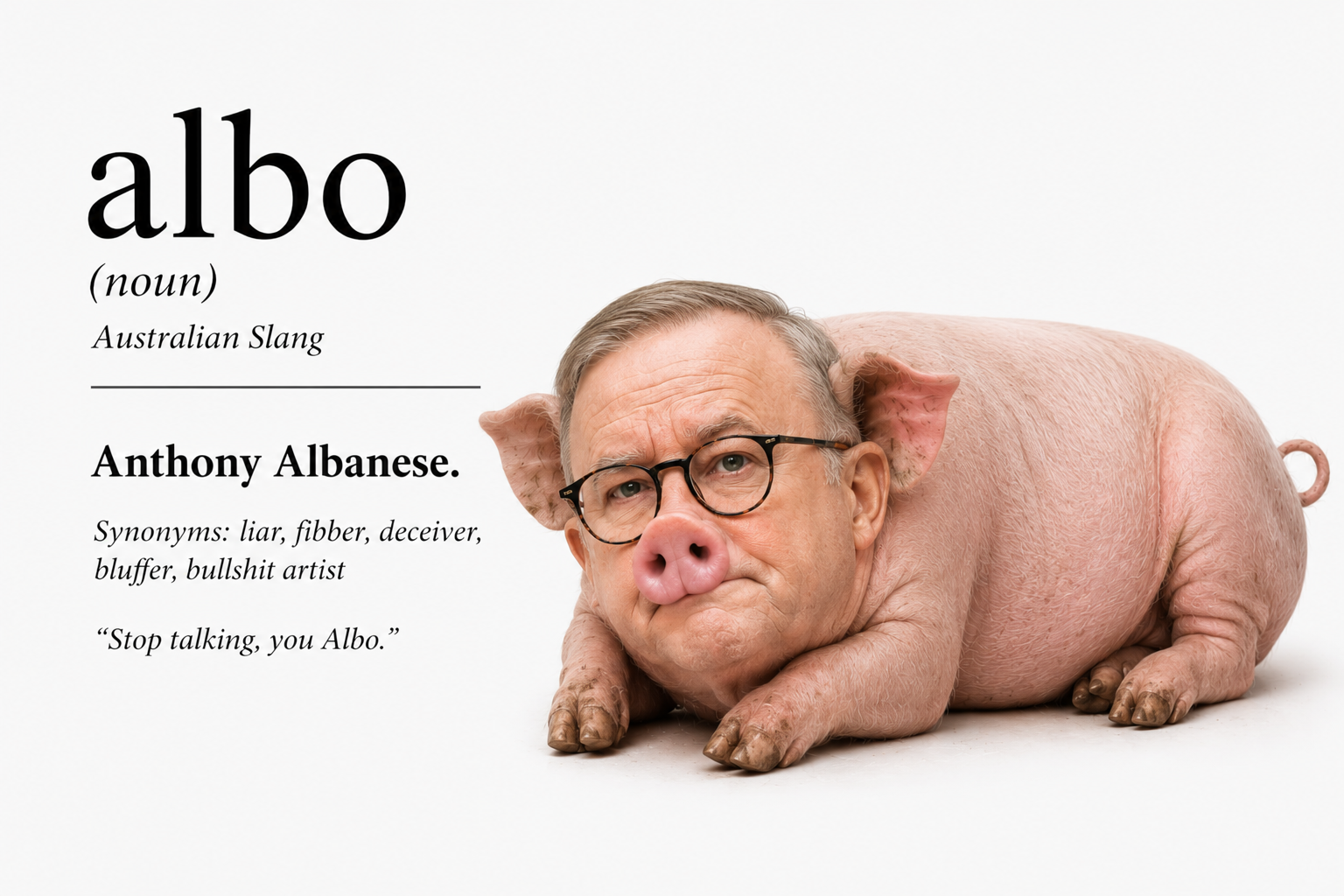 Albo - liar liar pants on fire Blank Meme Template