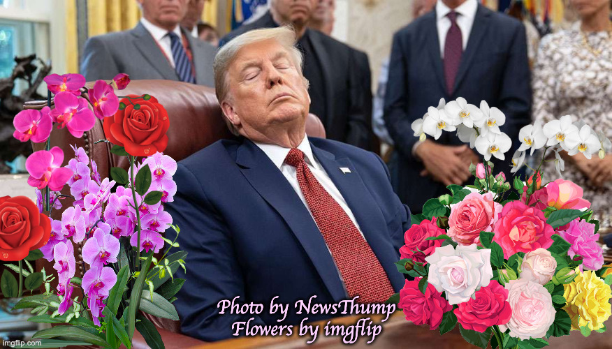 Good night, Sleepy Joe. | Photo by NewsThump
Flowers by imgflip | image tagged in memes,sleepy joe,peaceful | made w/ Imgflip meme maker