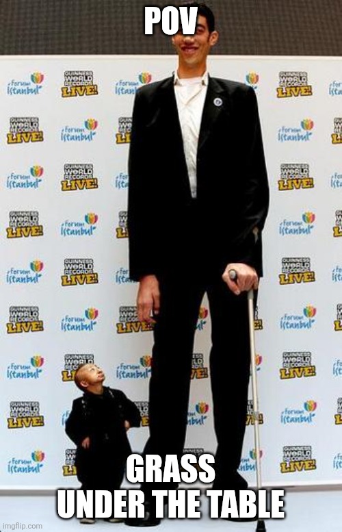 Grass under the table | POV; Grass under the table | image tagged in the tallest and shortest man in the world | made w/ Imgflip meme maker