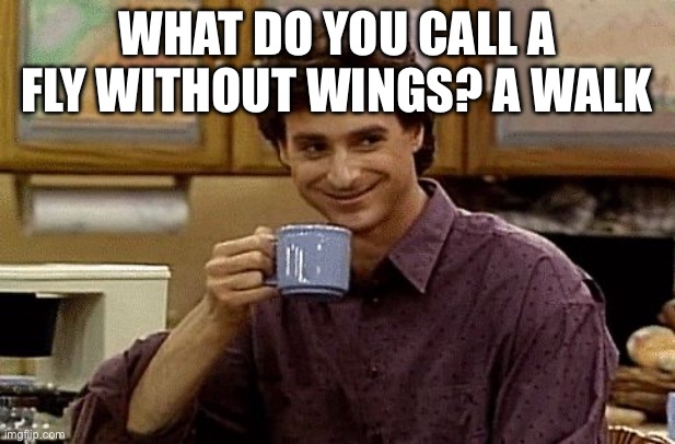 Real knee slapper | What do you call a fly without wings? A walk | image tagged in dad joke | made w/ Imgflip meme maker