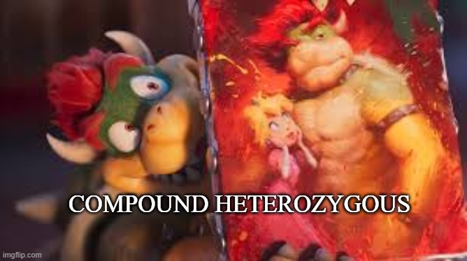 compound heterozygous | made w/ Imgflip meme maker