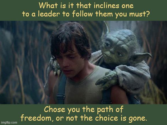 Learn or not it's history you lose | What is it that inclines one to a leader to follow them you must? Chose you the path of freedom, or not the choice is gone. | image tagged in learn or not it's history you lose,yoda,donth draftevader,trump the evil emperor | made w/ Imgflip meme maker