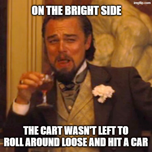 Laughing Leo Meme | on the bright side the cart wasn't left to roll around loose and hit a car | image tagged in memes,laughing leo | made w/ Imgflip meme maker