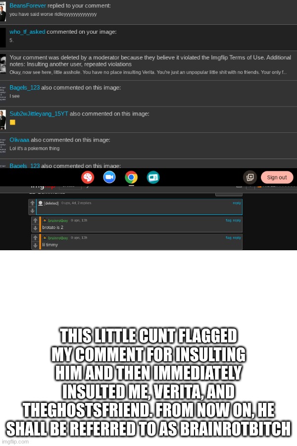 brainrotboy? Nah, brainrotbitch. | This little cunt flagged my comment for insulting him and then immediately insulted me, Verita, and TheGhostsFriend. From now on, he shall be referred to as Brainrotbitch | image tagged in brainrotboy,unfair | made w/ Imgflip meme maker