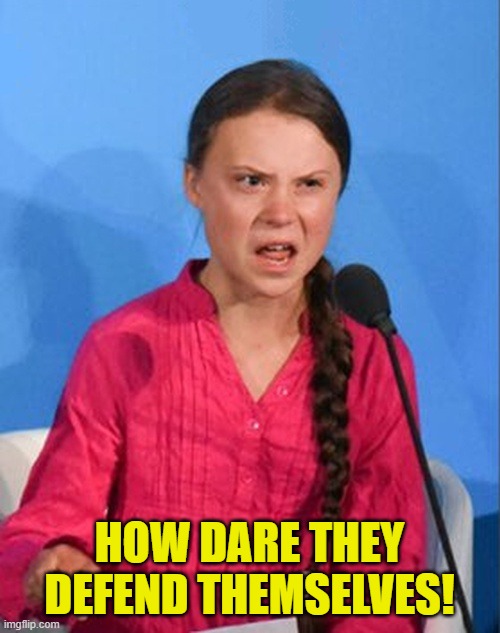 how dare they defend themselves! | image tagged in greta thunberg how dare you | made w/ Imgflip meme maker