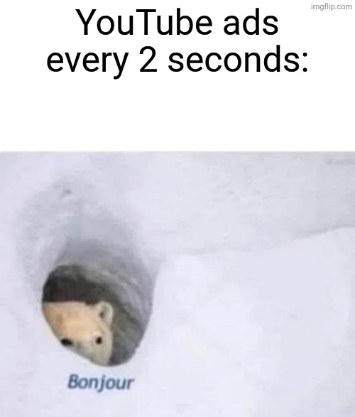 Bonjour | YouTube ads every 2 seconds: | image tagged in bonjour | made w/ Imgflip meme maker