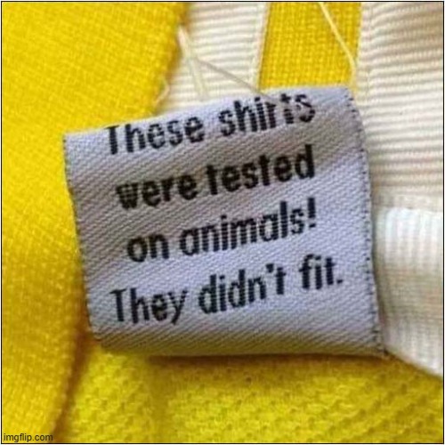Which Animals Took Part ? | image tagged in animal,test | made w/ Imgflip meme maker