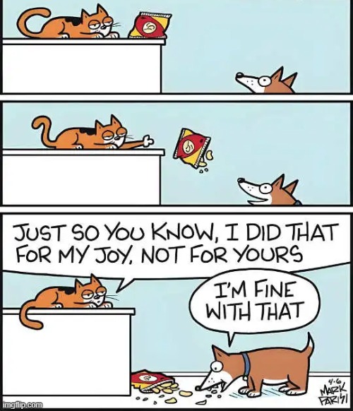 If it works, it works! | image tagged in cats,dogs,plans,success | made w/ Imgflip meme maker