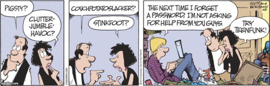 Zits | image tagged in comics | made w/ Imgflip meme maker