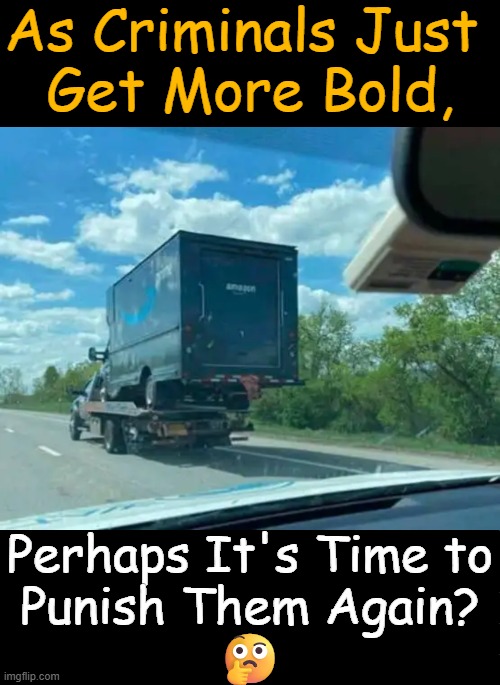 Embrace Sanity & Common Sense--Reject Liberalism & Nonsense | As Criminals Just 
Get More Bold, Perhaps It's Time to
Punish Them Again?
🤔 | image tagged in liberals vs conservatives,criminal minds,fraud,theft,insanity,choices | made w/ Imgflip meme maker