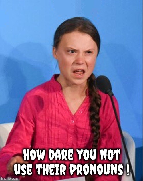 Greta Thunberg how dare you | How dare you not use their pronouns ! | image tagged in greta thunberg how dare you | made w/ Imgflip meme maker