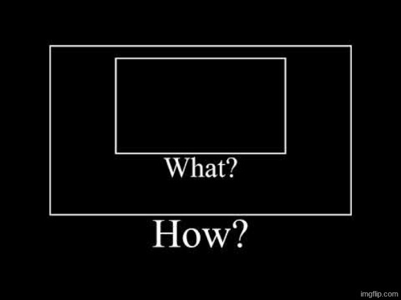 what | image tagged in what | made w/ Imgflip meme maker