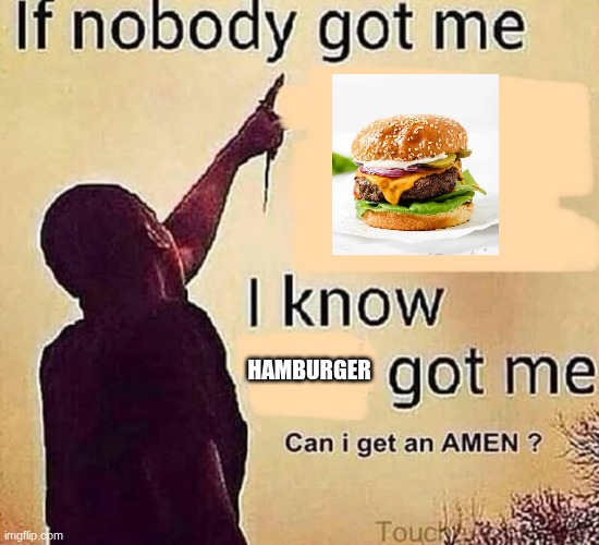 If nobody got me | hamburger | image tagged in if nobody got me | made w/ Imgflip meme maker