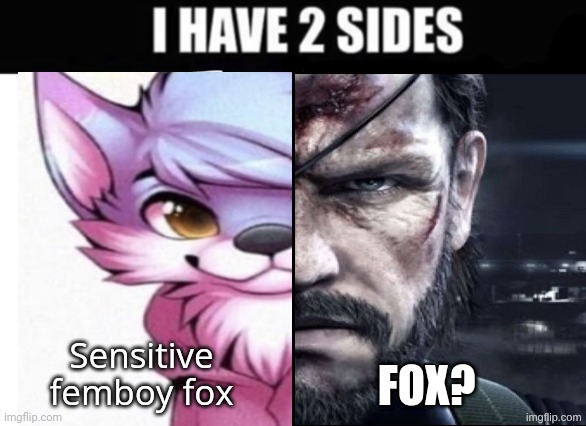 I have 2 sides | fox? | image tagged in i have 2 sides | made w/ Imgflip meme maker