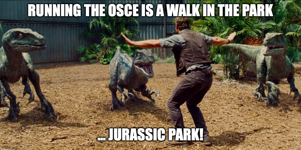 osce walk in the park | running the OSCE is a walk in the park; ... Jurassic park! | image tagged in jurassic park raptor,osce,medical education,exams | made w/ Imgflip meme maker