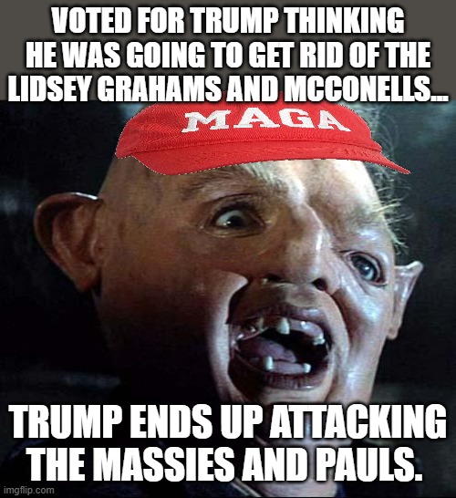 Maga conned | voted for trump thinking he was going to get rid of the lidsey grahams and mcconells... trump ends up attacking the massies and pauls. | image tagged in donald trump,trump,maga,nevertrump,trump sucks,drain the swamp | made w/ Imgflip meme maker