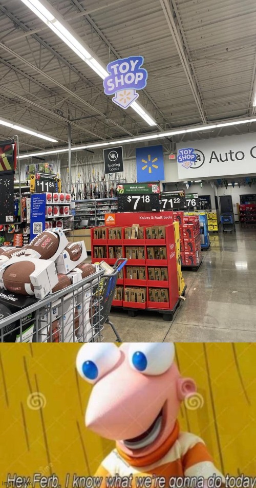 "Toy shop" | image tagged in hey ferb,toy,shop,knives,memes,you had one job | made w/ Imgflip meme maker