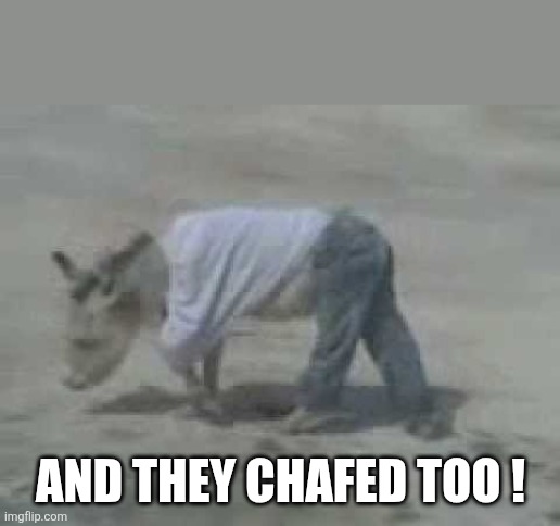 Donkey in pants | And they chafed too ! | image tagged in donkey in pants | made w/ Imgflip meme maker