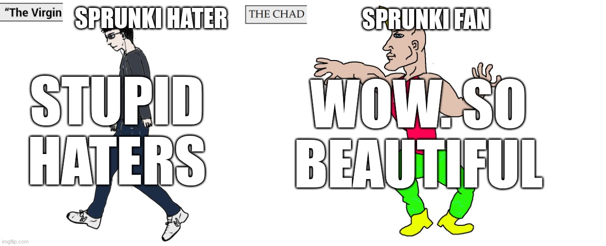 the virgin sprunki HATERS and the Chad sprunki lovers | sprunki hater; sprunki fan; wow. so beautiful; STUPID HATERS | image tagged in virgin and chad | made w/ Imgflip meme maker