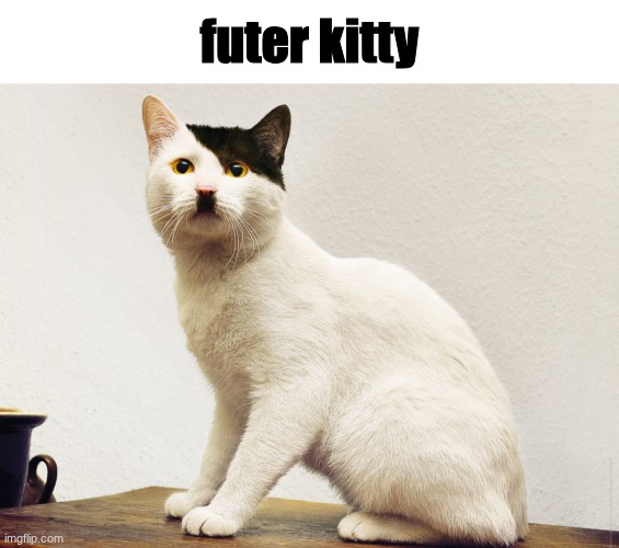 futer kitty | futer kitty | image tagged in adolf kitler | made w/ Imgflip meme maker