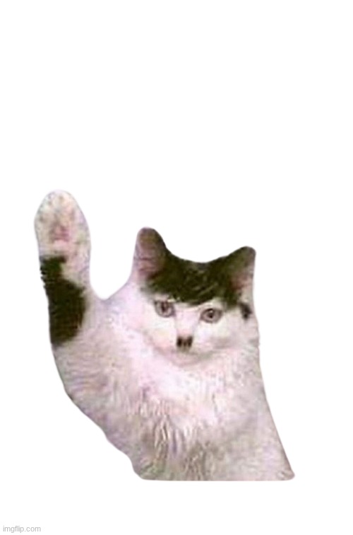Kitler | image tagged in kitler | made w/ Imgflip meme maker