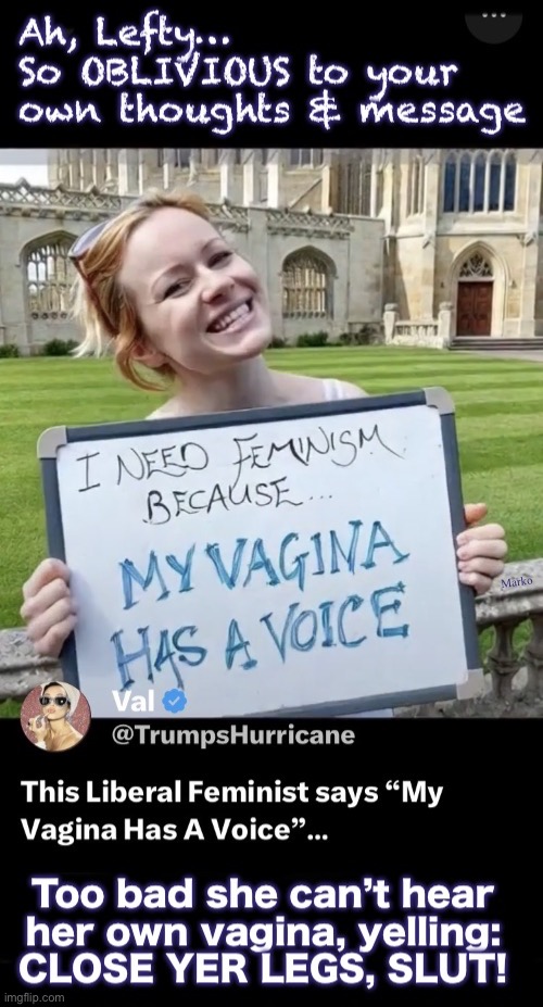 Oblivious Synonyms:  clueless, ignorant, incognizant, insensible, nescient, unaware, LEFTY, unconscious, uninformed, unknowing | image tagged in img_0595 jpeg,dense,thick,lefty makes me sick to my stomach,evil stupidity,fjb voters kissmyass gotohell | made w/ Imgflip meme maker
