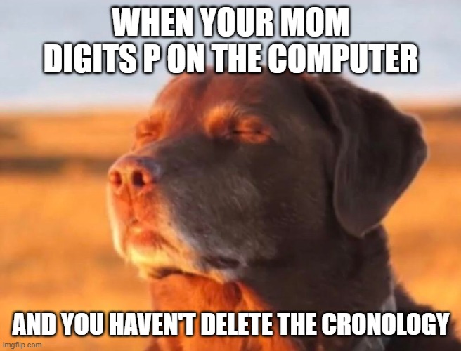Dog accepting fate | when your mom digits P on the computer; and you haven't delete the cronology | image tagged in dog accepting fate | made w/ Imgflip meme maker