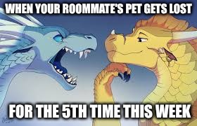 Winter and Qibli | when your roommate's pet gets lost; for the 5th time this week | image tagged in winter and qibli | made w/ Imgflip meme maker