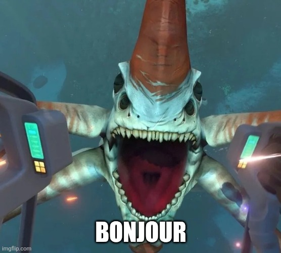 Can’t even swim in Ohio | Bonjour | image tagged in can t even swim in ohio | made w/ Imgflip meme maker