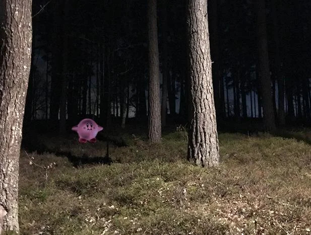 High Quality Tree T pose kirby Blank Meme Template