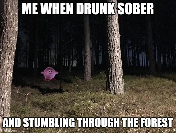 Tree T pose kirby | ME WHEN DRUNK SOBER; and stumbling through the forest | image tagged in tree t pose kirby | made w/ Imgflip meme maker